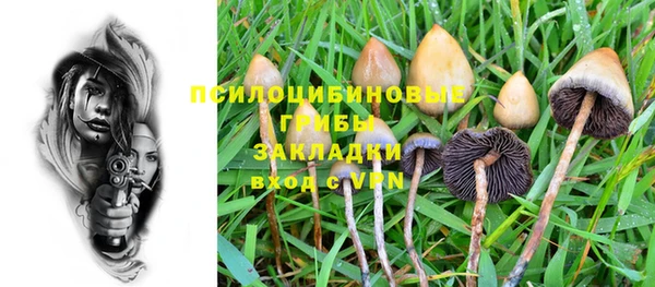 круглые Инсар